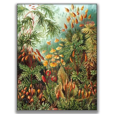 2026-01-20_Spezialita1