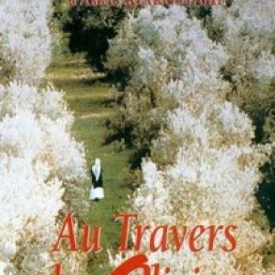 au travers des oliviers