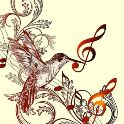 oiseau musique